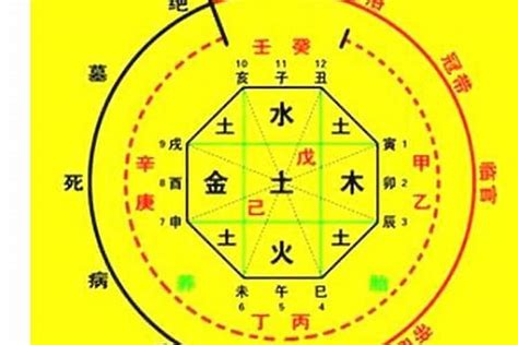 甲戌年五行|生辰八字算命、五行喜用神查询（免费测算）